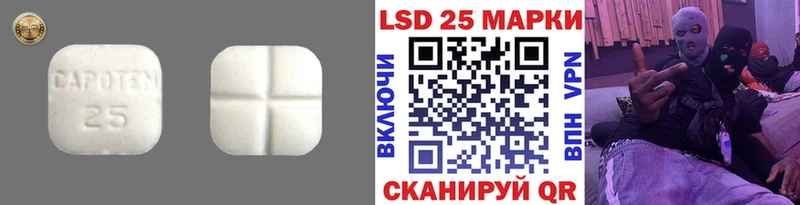 LSD-25 экстази кислота Каменногорск