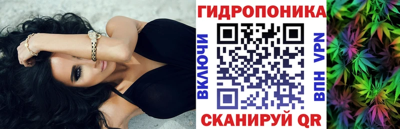 Канабис конопля  Каменногорск 